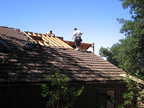 Roof plywood is removed. Since they...