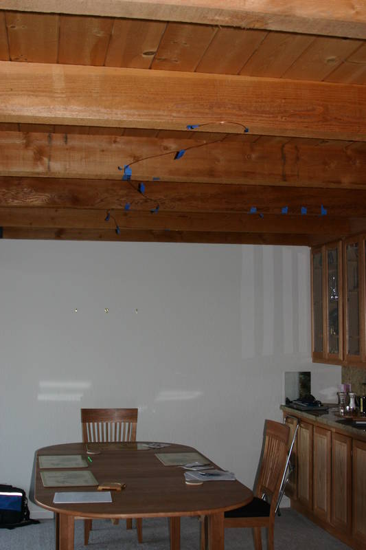 We used 10 gauge copper wire to see how the shape would look when suspended from the ceiling.