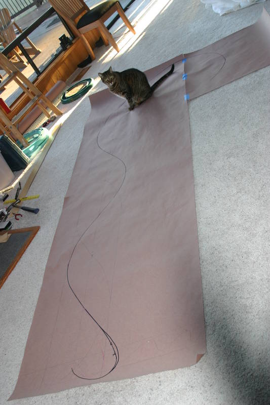 Beth designed and drew the sinuous shape full-scale on construction paper. Mr. Mocha is acting paperweight.