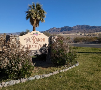 Oasis