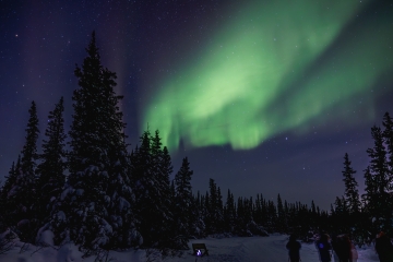 Aurora